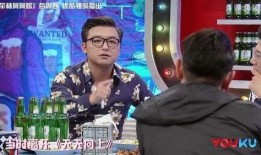 田源爆料汪涵视频,视频曝光惊人内幕