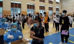 沈阳学生爆料案件最新消息,真相逐步浮出水面