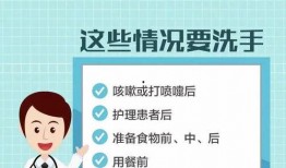 新冠状病毒最新爆料,揭秘病毒变异与传播机制