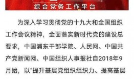 浦东干部爆料新闻视频网,揭秘新闻视频网站背后真相