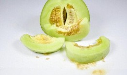 甜瓜游乐场最新更新爆料,畅享无限欢乐新篇章！