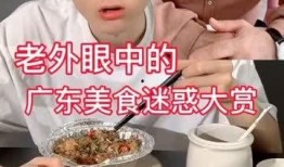 广东美食爆料视频大全集,广东美食爆料视频大全集精彩回顾