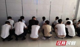 长沙公安局爆料案件最新,连环盗窃案告破，警方揭秘犯罪团伙作案手法