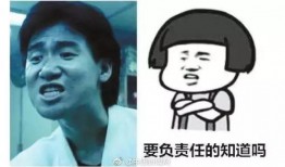 娱乐爆料猪头表情包,娱乐爆料界的“萌宠”新宠儿