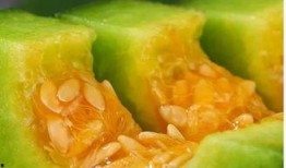 网红吃瓜名字大全可爱,可爱瓜名盘点，笑料横飞！