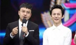 何炅汪涵爆料了吗视频下载,独家下载解析