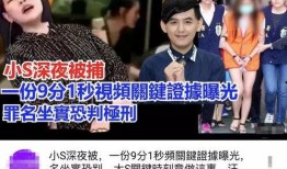 葛斯齐最新爆料大小s,揭秘娱乐圈不为人知的一面