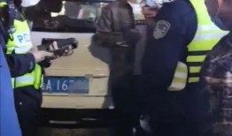 警察爆料提子视频播放大全,提子视频播放大全背后的真相曝光