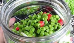 酸豆角爆料视频大全下载,揭秘幕后真相与趣味瞬间