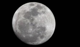 月亮吃瓜娱乐说,揭秘娱乐圈幕后故事