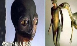 加西亚爆料外星人视频,加西亚独家爆料震撼视频首度曝光