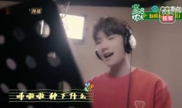 圈内爆料王源杨超越,揭秘娱乐圈的甜蜜邂逅