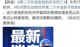 梅州爆料热点事件最新,揭秘神秘事件背后的惊人真相