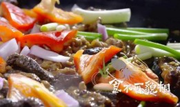 广东美食爆料视频大全集,广东美食爆料视频大全集精彩回顾