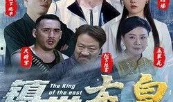 大陆在线观看,大陆热门在线影视作品盘点