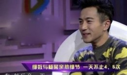 刘大锤爆料鸡哥视频,鸡哥视频背后的惊人真相