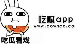 黑爆吃瓜免费下载,揭秘娱乐圈幕后故事