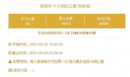 广东网红爆料新闻报道,揭秘网红圈幕后真相