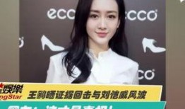 残疾人编剧爆料视频,残疾人编剧勇敢发声，讲述行业困境与自我奋斗