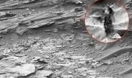 最新爆料外星人,外星生命迹象引发全球关注