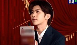蔡徐坤采访爆料视频大全,揭秘偶像背后的故事与心声