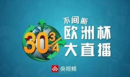 爆料欧洲杯的视频,揭秘赛场上的激情与热血