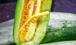 网红说吃瓜,揭秘吃瓜背后的娱乐真相