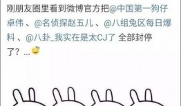 娱乐吃瓜总结,揭秘明星幕后故事