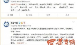 小雨最新爆料消息,揭秘娱乐圈最新劲爆事件！