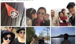 娱乐圈家暴爆料,揭开明星家庭背后的黑暗面