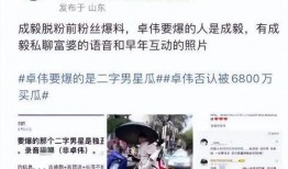 成毅单身爆料视频,揭秘背后不为人知的情感世界