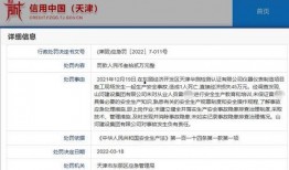 山河集团爆料事件视频,事件背后真相曝光