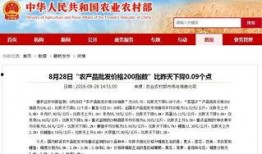 今日菜价爆料新闻视频,蔬菜价格波动，市民生活受影响