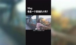 小椰子爆料视频全集,揭秘幕后真相与精彩瞬间