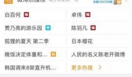 王老大最新爆料微博视频,独家爆料背后的惊人真相