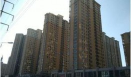 开封金明区最新爆料,揭秘区域发展新动向与亮点