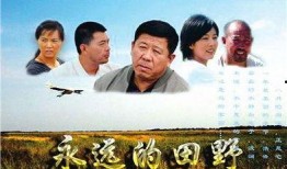 原野电视剧在线观看,探寻情感与命运的交织之旅