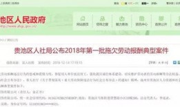 山河集团爆料事件视频,事件背后真相曝光