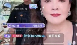 张兰爆料派对视频播放在线观看,揭秘豪门背后的奢华生活