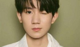 圈内爆料王源杨超越,揭秘娱乐圈的甜蜜邂逅