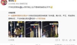 综艺爆料生子视频合集下载,明星生子视频合集，独家下载揭秘育儿瞬间