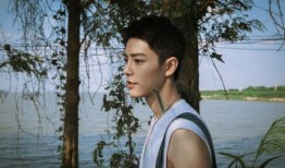 肖战现状爆料视频最新版,最新爆料视频深度解析