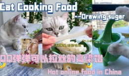 料理猫最新爆料,揭秘美食界的神秘力量与独家秘籍