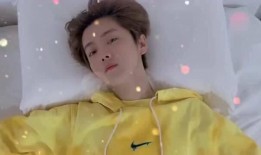 鹿晗网红爆料视频大全集,揭秘娱乐圈幕后真相