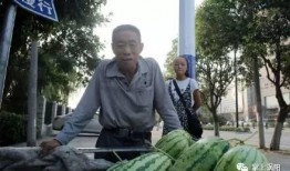 成县吃瓜网红事件真相揭秘,真相与误解的交织