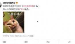 鹅厂最新爆料肖战杨紫