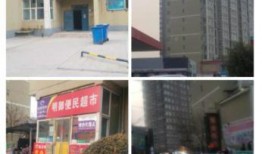 山西临汾一楼爆料事件最新,惊心动魄的生死瞬间