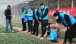 甘肃志愿者爆料视频,揭示当地困境与希望之光