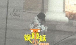 卓伟爆料张子怡视频播放,引发网友热议