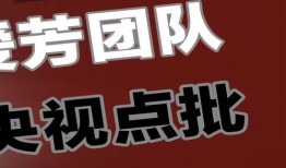 爆料老厉的视频素材,一场视觉与情感的震撼之旅